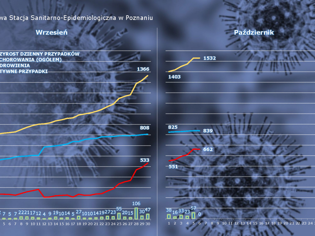 98 osób zakażonych koronawirusem w powiecie poznańskim, 3003 w Polsce - aktualne dane z powiatu