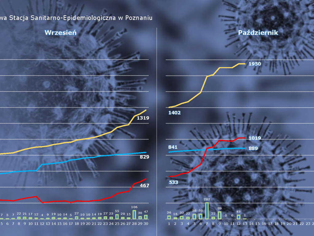 196 osób zakażonych koronawirusem w powiecie poznańskim, 6526 w Polsce - aktualne dane