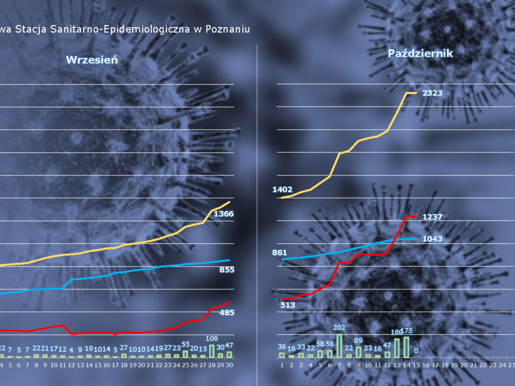 34 aktywne przypadki w Luboniu, 236 osób zakażonych koronawirusem w powiecie poznańskim - aktualne dane