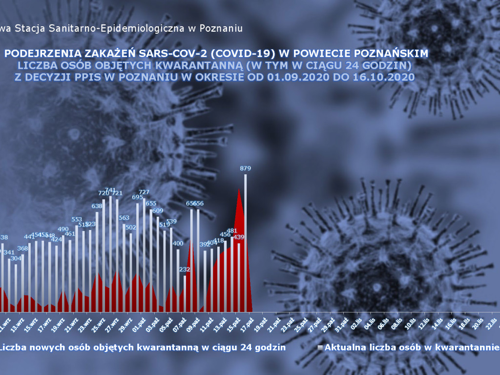 310 osób zakażonych koronawirusem w powiecie poznańskim, 1058 w Wielkopolsce - aktualne dane