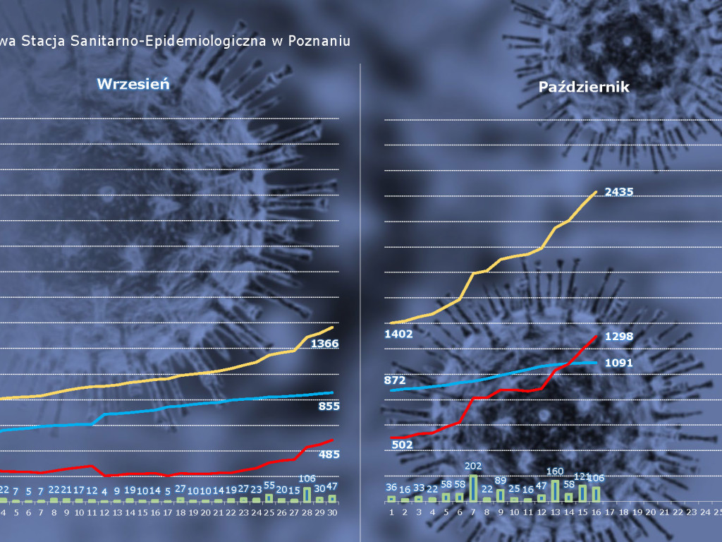 310 osób zakażonych koronawirusem w powiecie poznańskim, 1058 w Wielkopolsce - aktualne dane