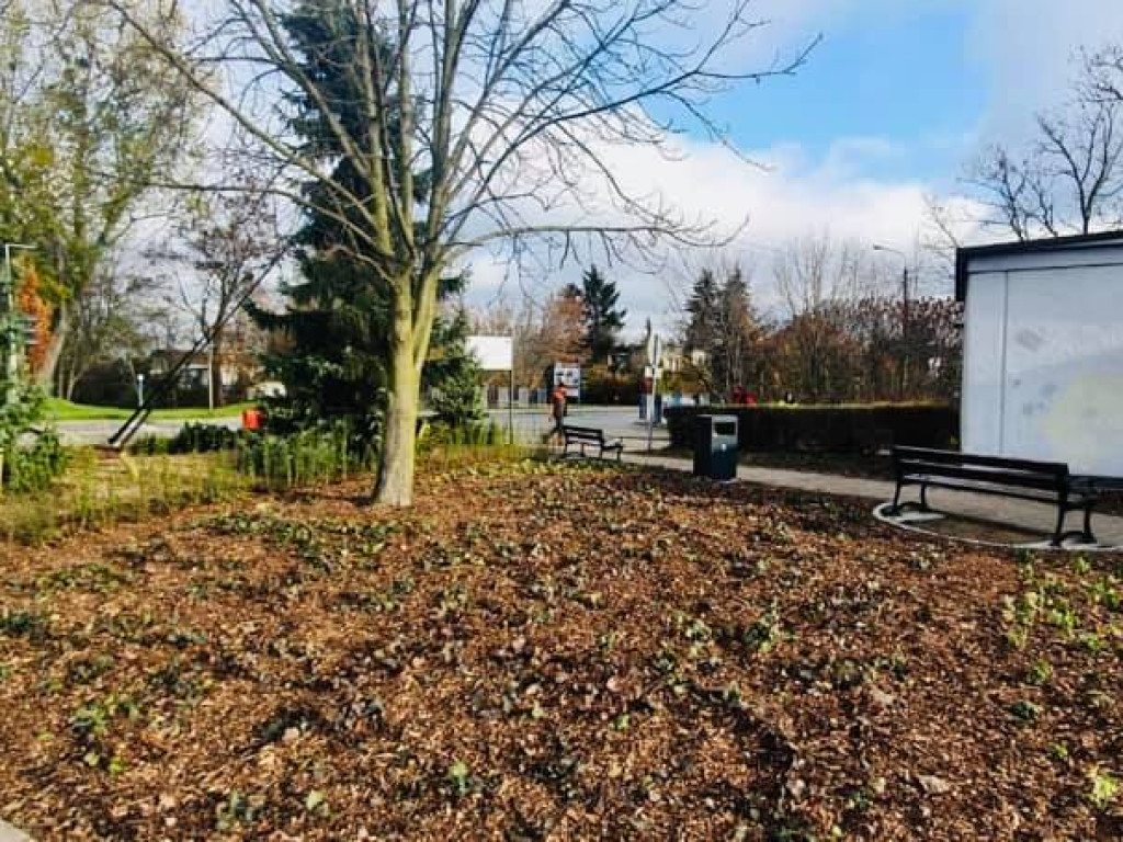 Inwestycje w mieście