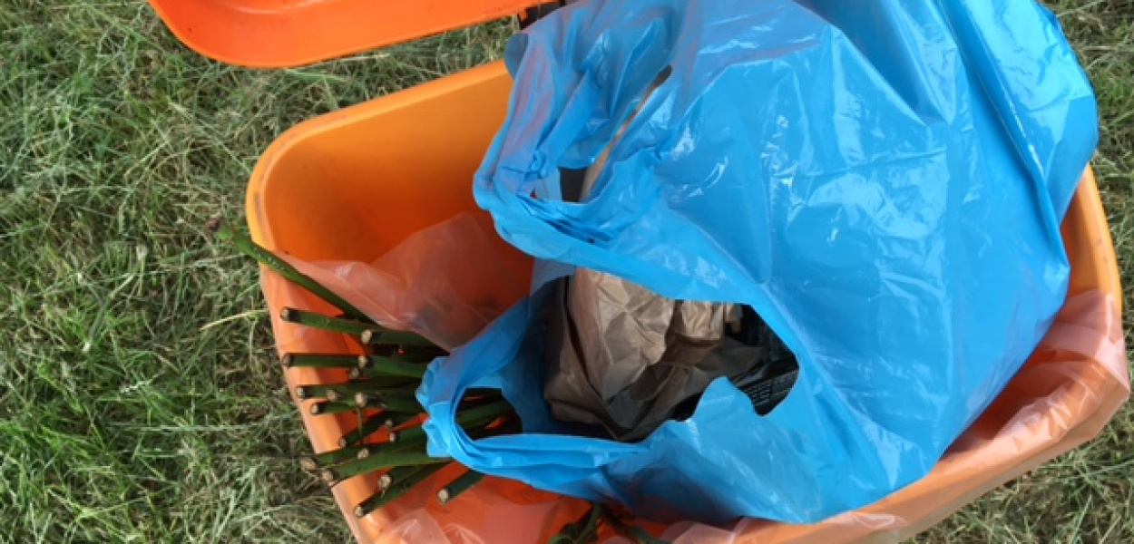 Bałagan Nad Żabinką [odpowiedź]