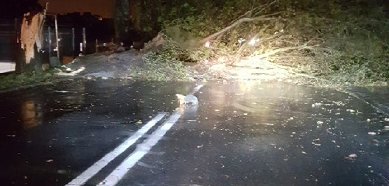 Orkan Ksawery szaleje w Luboniu - AKTUALIZACJA 06.10 godz. 8.50