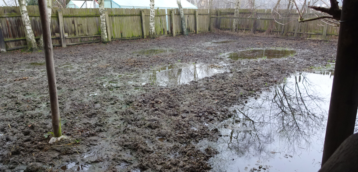 Problemy mieszkańców na ulicy Wschodniej i Szymanowskiego - list do redakcji