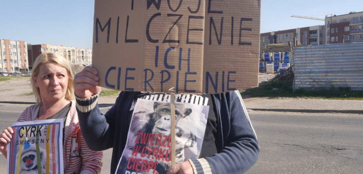 NIE dla cyrku w Luboniu - relacja z pikiety