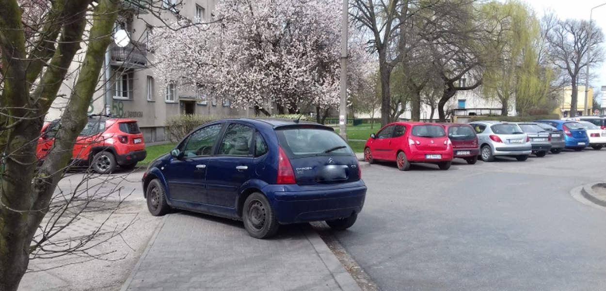 Kolejni mistrzowie parkowania?