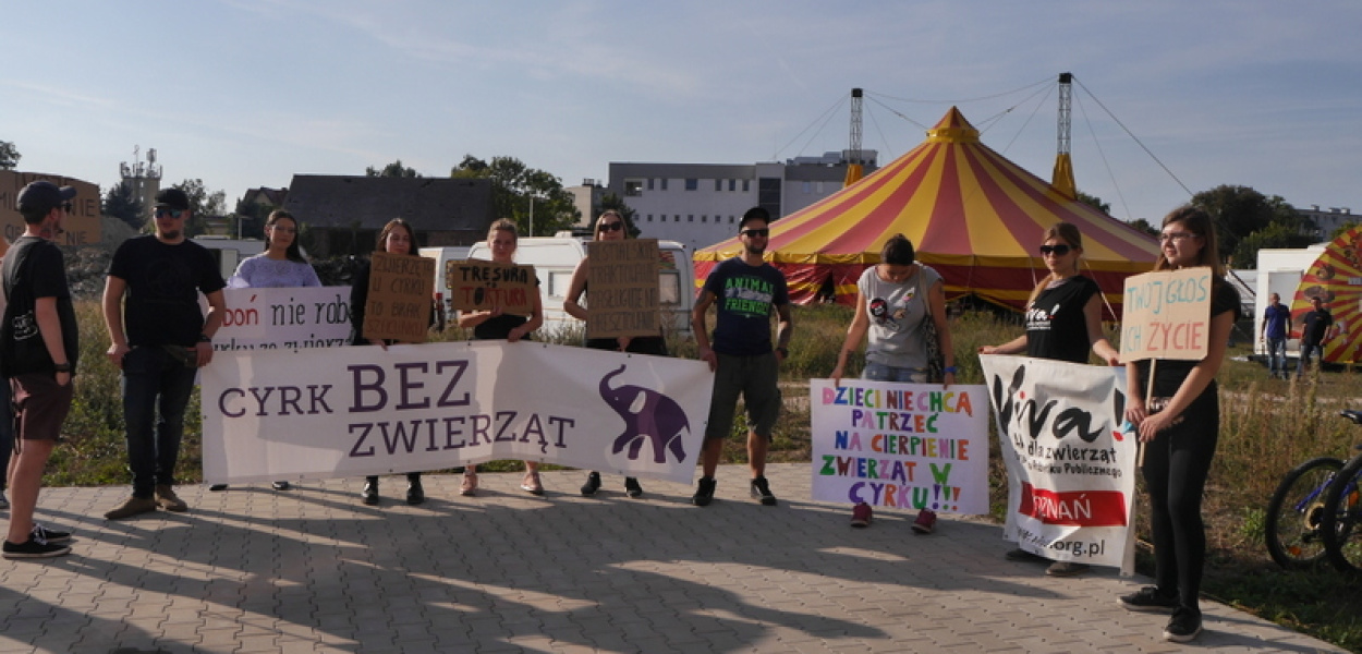 NIE dla cyrku w Luboniu - pikieta na ulicy Pułaskiego