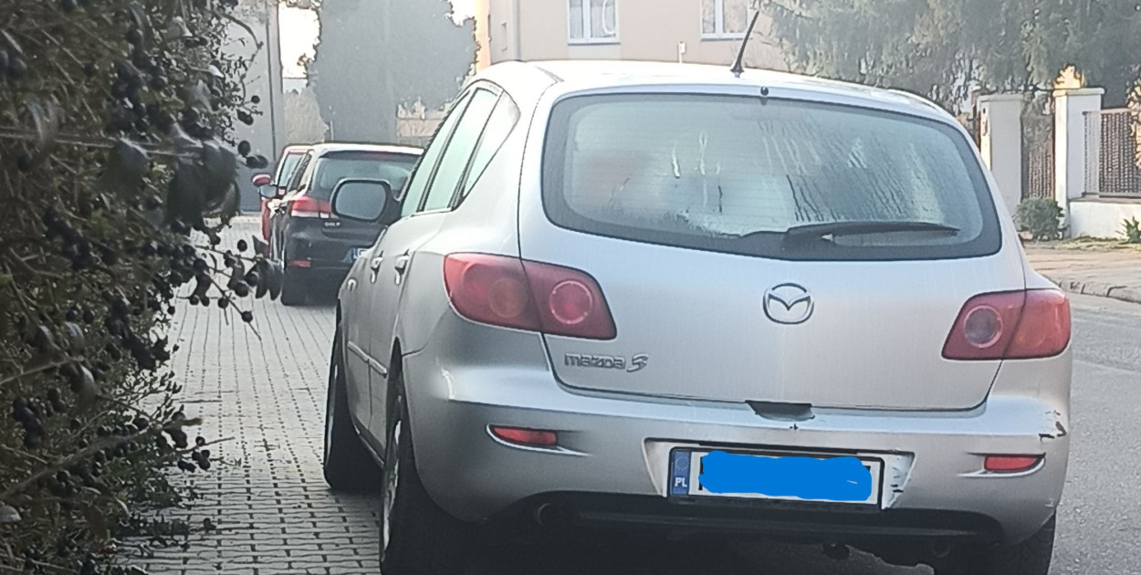 Czytelnik