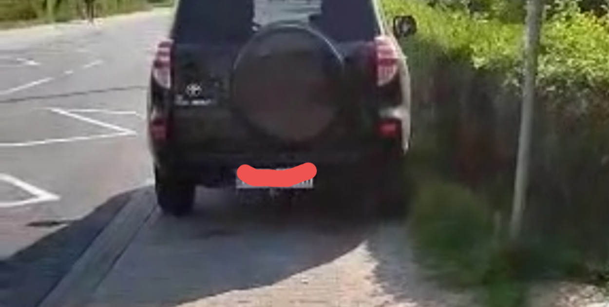 Czytelnik