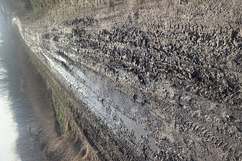 Obszary spacerowe nad Wartą - list do redakcji [odpowiedź z UML]