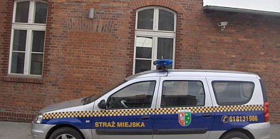 Interwencje Straży Miejskiej Miasta Luboń -20541