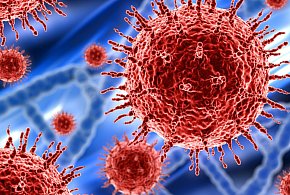 Rekord zakażeń wirusem HIV! Eksperci alarmują-20761