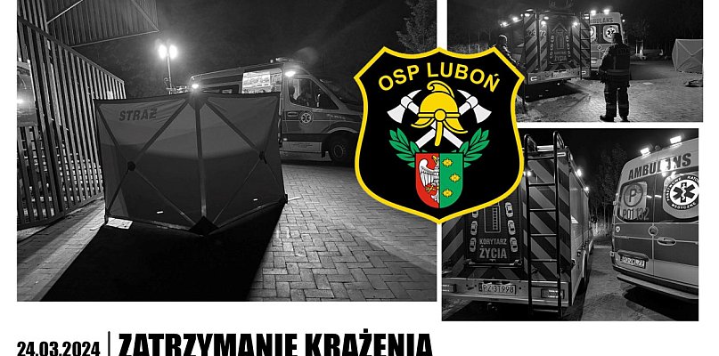 Zespół ratownictwa medycznego i OSP Luboń podjęli walkę o życie nastolatka - 22333