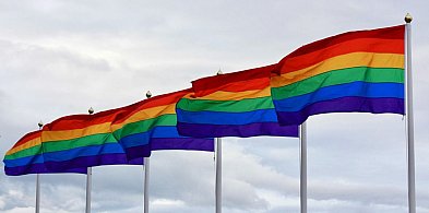 Ranking szkół przyjaznych LGBTQ+ - możesz zagłosować-24830