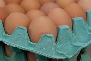 Salmonella na jajach znanej marki. Nie jedz, jeśli masz je w lodówce!-25524