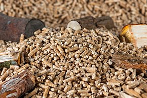 Drożeje popularny opał. Miliony Polaków dostaną po kieszeni tej zimy-26218