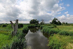Co dalej z nowym parkiem narodowym? Minister klimatu zdradza plan po wecie-26286