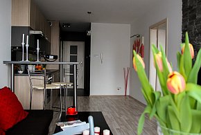 Rewolucja w wynajmie na doby. Nadchodzi koniec "wolnej amerykanki"-26443