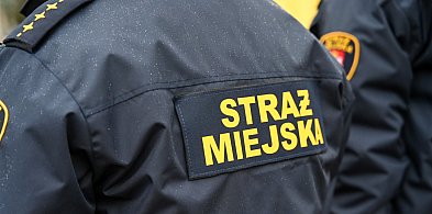 Zapuka strażnik, zapłacisz karę. Ruszyły kontrole w całej Polsce-26148