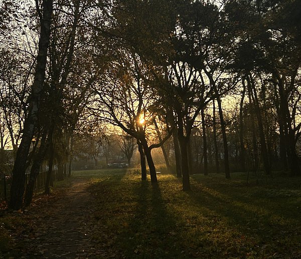 Nadchodzi najkrótszy dzień w 2025 roku. Sprawdź, kiedy przypadnie-26522