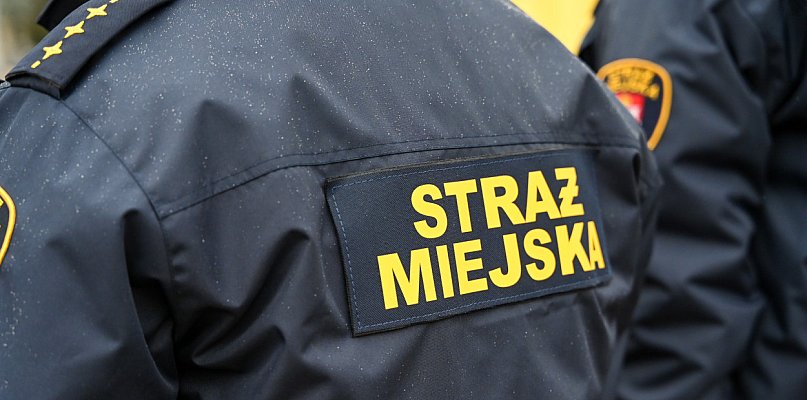 Zapuka strażnik, zapłacisz karę. Ruszyły kontrole w całej Polsce - 26148